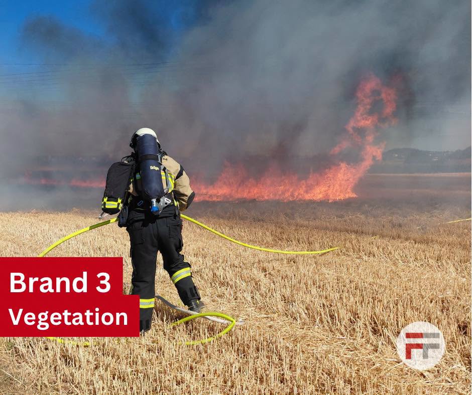 brand4