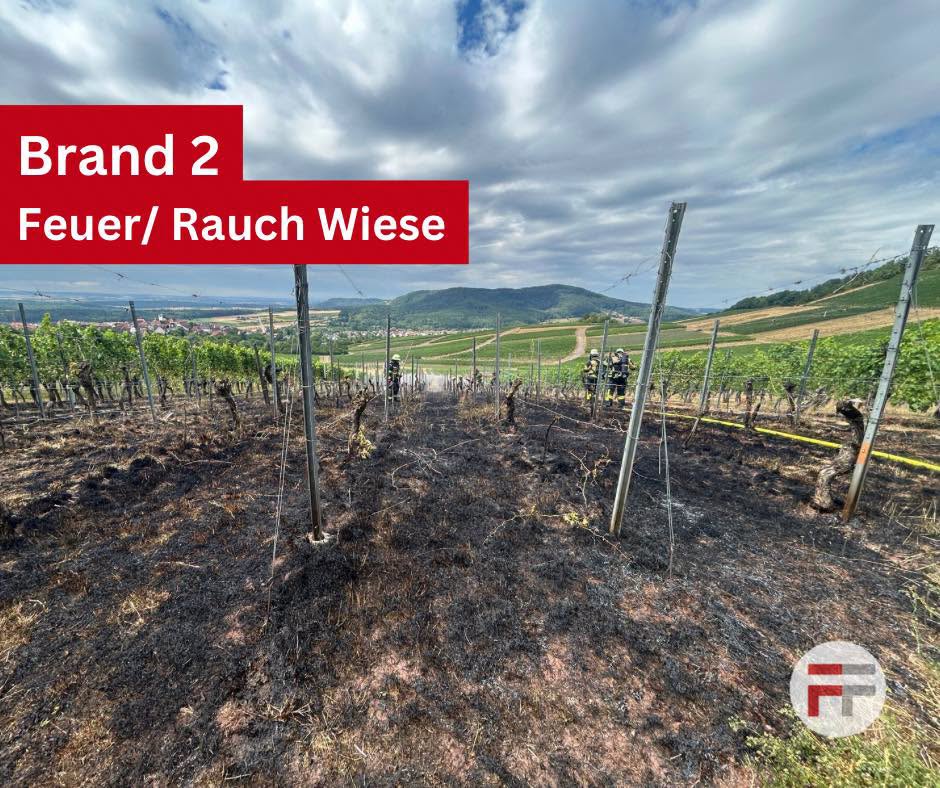 wiese_01