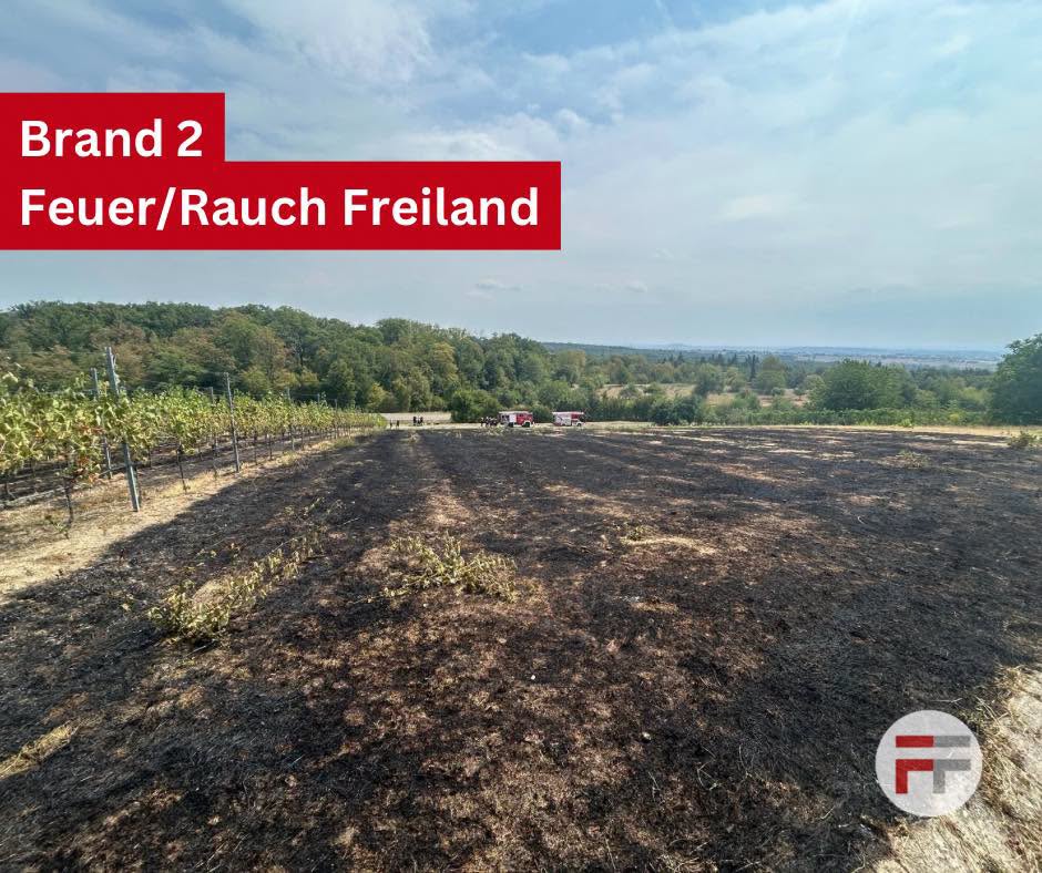 freiland